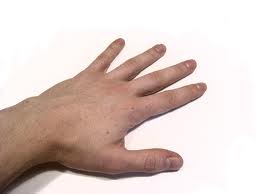 hand 