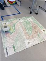 maps and finches