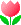 red tulip